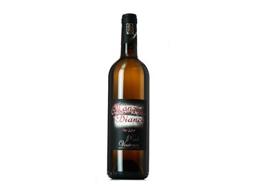 VINDIMIAN RUDI Azienda Agricola MANZONI BIANCO 780 slm-Vindimian 2019