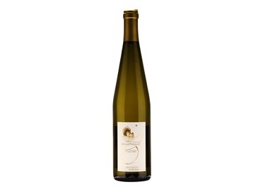 VIVALLIS S.C.A. MULLER THURGAU-Battistotti 2024