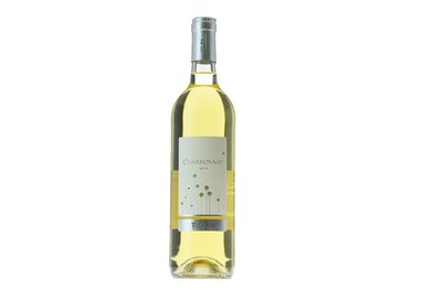 ZENI ROBERTO s.s.di A.& R. Zeni SAUVIGNON Piazzole ..-Zeni 2023