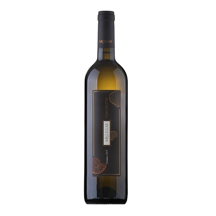 ARGILLAE SRL Az. Agr. GRECHETTO-Argillae 2023 ARGILLAE SRL Az. Agr. GRECHETTO-Argillae 2023