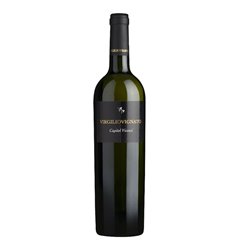 AZIENDA AGRICOLA VIRGILIO VIGNATO S.S.A. GAMBELLARA CLASSICO Capitel Vicenzi-Vignato 2022