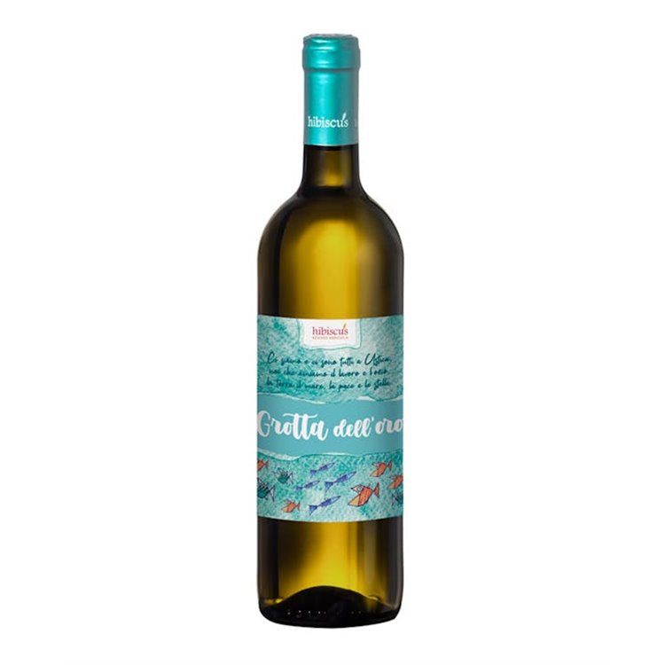LA MONTECCHIA - CONTE EMO CAPODILISTA - CANTINA CO PINOT BIANCO COLLI EUGANEI Rolandino-La 2022 LA MONTECCHIA - CONTE EMO CAPODILISTA - CANTINA CO PINOT BIANCO COLLI EUGANEI Rolandino-La 2022