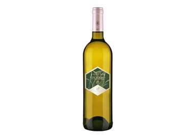 CAVE MONT BLANC DE MORGEX ET LA SALLE SOC.COOP FRIPON Extra Dry-Cave Mont Blanc