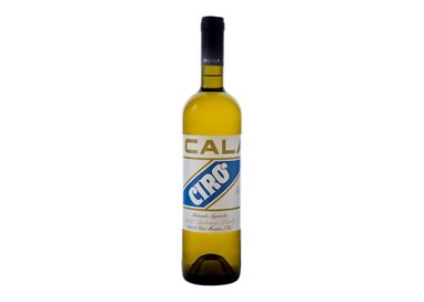 'SCALA sas di Scala Francesco CIRO'' BIANCO ..-Scala 2024'