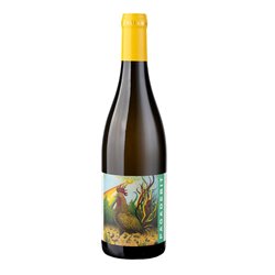 TENUTA SANTA LUCIA .DINAMICA PAGADEBIT DI ROMAGNA ..-Tenuta Santa 2022