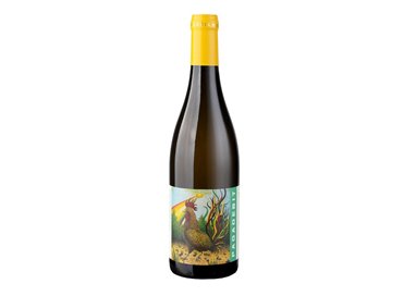 TENUTA SANTA LUCIA .DINAMICA PAGADEBIT DI ROMAGNA ..-Tenuta Santa 2023