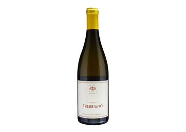 TENUTA SANTA LUCIA .DINAMICA TREBBIANO ..-Tenuta Santa Lucia 2022