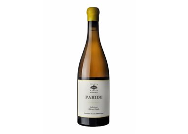 TENUTA SANTA LUCIA .DINAMICA MARNE GIALLE Paride ..-Tenuta Santa