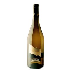 TORRE FORNELLO Azienda Agricola MALVASIA SECCA Frizzante-Torre Fornello 2022