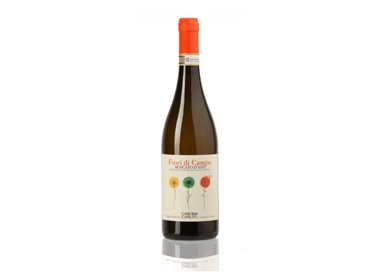 'CASCINA CARLOT Az.Agr. di Mo Claudio MOSCATO D''ASTI Fiori di Campo-Cascina 2024 0,375'