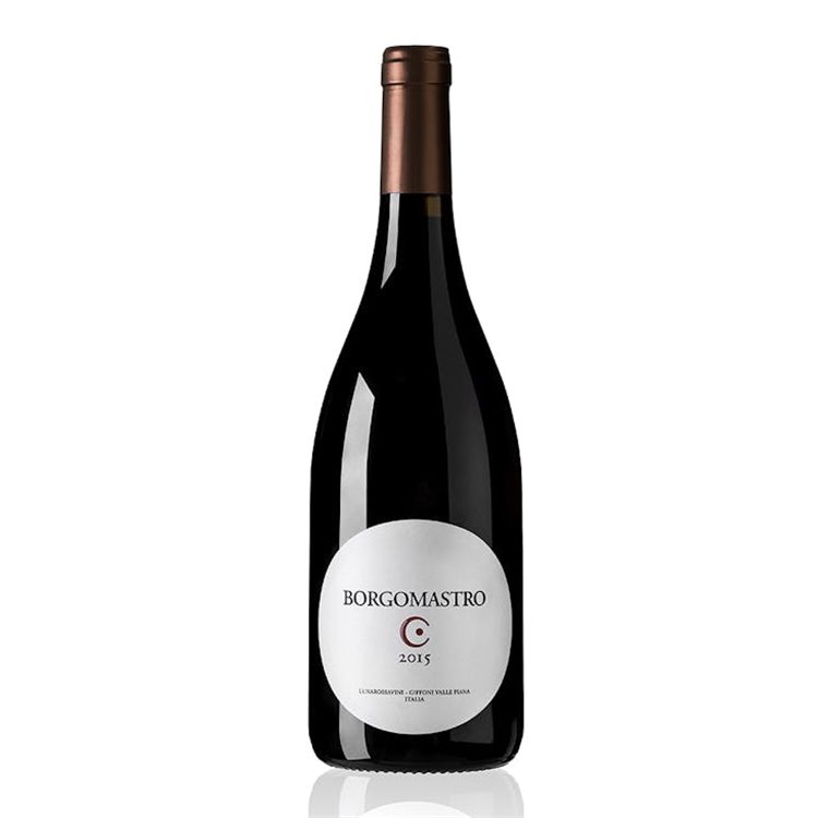 LUNAROSSAVINI E PASSIONE Srl FC AGLIANICO Borgomastro Colli di Salerno 2016 LUNAROSSAVINI E PASSIONE Srl FC AGLIANICO Borgomastro Colli di Salerno 2016