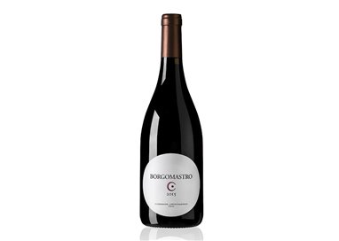 LUNAROSSAVINI E PASSIONE Srl FC  AGLIANICO Borgomastro Colli di Salerno 2016