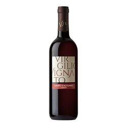 'AZIENDA AGRICOLA VIRGILIO VIGNATO S.S.A. CABERNET Campo d''Autunno-Vignato 2023'