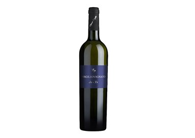 AZIENDA AGRICOLA VIRGILIO VIGNATO S.S.A. JA-TO-Vignato 2021