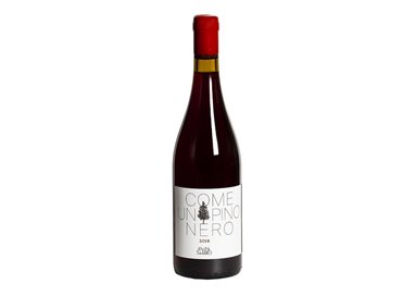 LE VIGNE DI SAN PIETRO Societ… Agricola COME UN PINO NERO-Le Vigne di San Pietro 2019