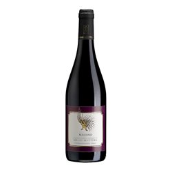 MOTTURA SERGIO PINOT NERO Magone ..-Mottura 2019
