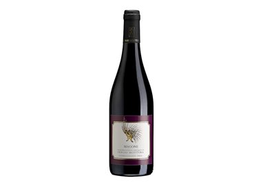 MOTTURA SERGIO PINOT NERO Magone ..-Mottura 2019