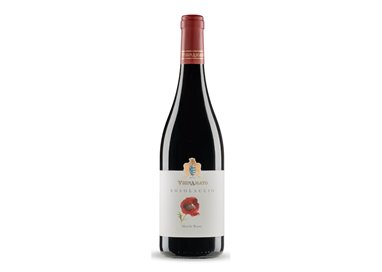 VIGNAMATO di Ceci Andrea Az.Agricola MARCHE ROSSO Rosolaccio-Vignamato 2023