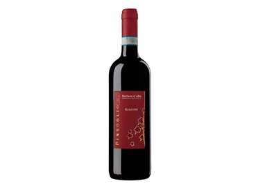 PINSOGLIO FABRIZIO Azienda Agricola BARBERA DÉALBA Giaconi-Pinsoglio 2020