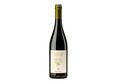 DOMIZIANO Srl Azienda Agricola PRIMITIVO DI MANDURIA Nuccio-Domiziano 2020