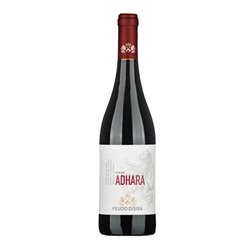 DISISA srl SYRAH Adhara-Disisa 2022