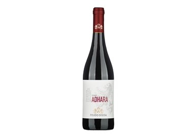 DISISA srl SYRAH Adhara-Disisa 2022