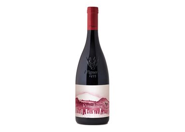 I VIGNERI DI SALVO FOTI Societ… Semplice Agricola VINUDILICE-I Vigneri .Vini Estremi. 2023