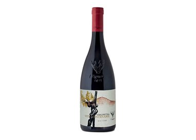 I VIGNERI DI SALVO FOTI Societ… Semplice Agricola VINUPETRA VITICENTENARIE-I Vigneri 2018
