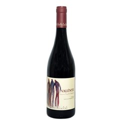 PODERE IL CASTELLACCIO di Scappini Alessandro VALNTE-Podere Il Castellaccio 2020