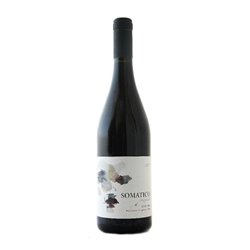 PODERE IL CASTELLACCIO di Scappini Alessandro PUGNITELLO Somatico-Podere Il Castellaccio 2022