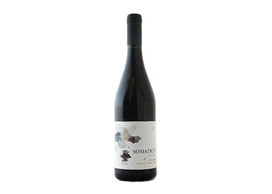 PODERE IL CASTELLACCIO di Scappini Alessandro PUGNITELLO Somatico-Podere Il Castellaccio 2022