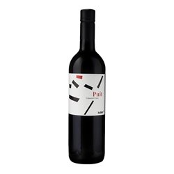 KOBLER Az. Agricola di Kobler Armin CABERNET FRANC Riserva Puit Tappo Vite-Kobler 2022
