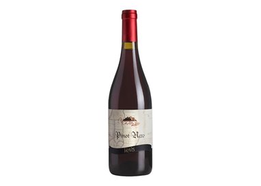 PRAVIS Azienda Agricola PINOT NERO-Pravis 2021