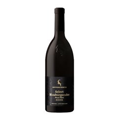 ROTTENSTEINER HANS Gmbh srl BLAUBURGUNDER Riserva Select-Rottensteiner 2020