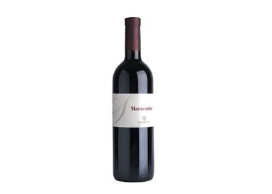 SALIZZONI Azienda Agricola MARZEMINO-Salizzoni 2023