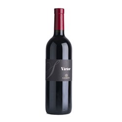 SALIZZONI Azienda Agricola Victor TRENTINO SUPERIORE ROSSO-Salizzoni 2021