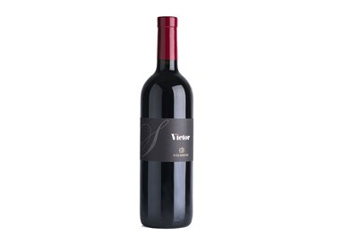 SALIZZONI Azienda Agricola Victor TRENTINO SUPERIORE ROSSO-Salizzoni 2021