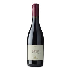 SALIZZONI Azienda Agricola ROSSO VITAE-Salizzoni 2020