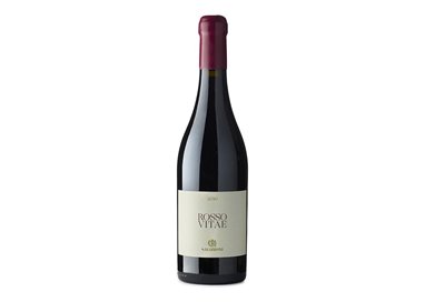 SALIZZONI Azienda Agricola ROSSO VITAE-Salizzoni 2020