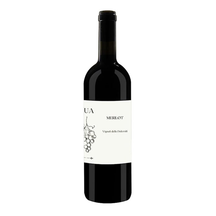 'VALLAROM Azienda Agricola MERLOT-L''Ua 2023' 'VALLAROM Azienda Agricola MERLOT-L''Ua 2023'