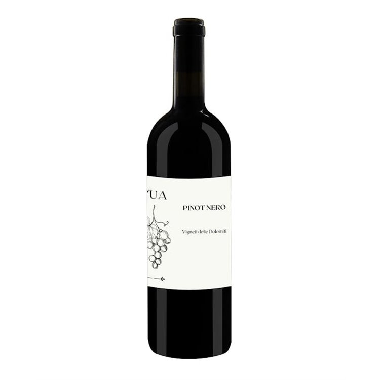 'VALLAROM Azienda Agricola PINOT NERO-L''Ua 2023' 'VALLAROM Azienda Agricola PINOT NERO-L''Ua 2023'