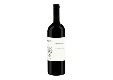 'VALLAROM Azienda Agricola PINOT NERO-L''Ua 2023'