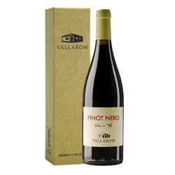 VALLAROM Azienda Agricola PINOT NERO Filippo Scienza ..-Vallarom 2020