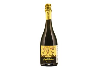 CASTEL NOARNA di Marco e Fausto Zani & C. Sas TRENTO DOSAGGIO ZERO 72 mesi Riserva Doss Ag— 2014