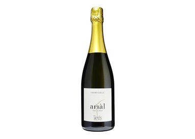 PRAVIS Azienda Agricola TRENTODOC EXTRA BRUT Arial M.C.-Pravis 2019