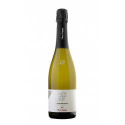 Degustazione Prosecco Docg dalle Colline di Valdobbiadene e Conegliano