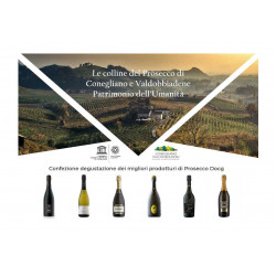 Degustazione Prosecco Docg dalle Colline di Valdobbiadene e Conegliano
