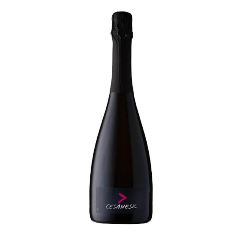 'L''OLIVELLA srl Azienda Agricola CESANESE > BRUT ROS M.M.-L''Olivella' 'L''OLIVELLA srl Azienda Agricola CESANESE > BRUT ROS M.M.-L''Olivella'
