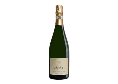 ROBERTO CROSIO Azienda Vitivinicola ERBALUCE BRUT Incanto 80 M.C.-Roberto Crosio 2015
