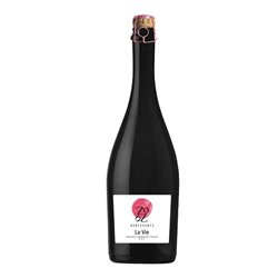 VENTIVENTI - IL BORGHETTO DI RAZZABONI Azienda LAMBRUSCO DI MODENA Le Vie M.M. .. 2024